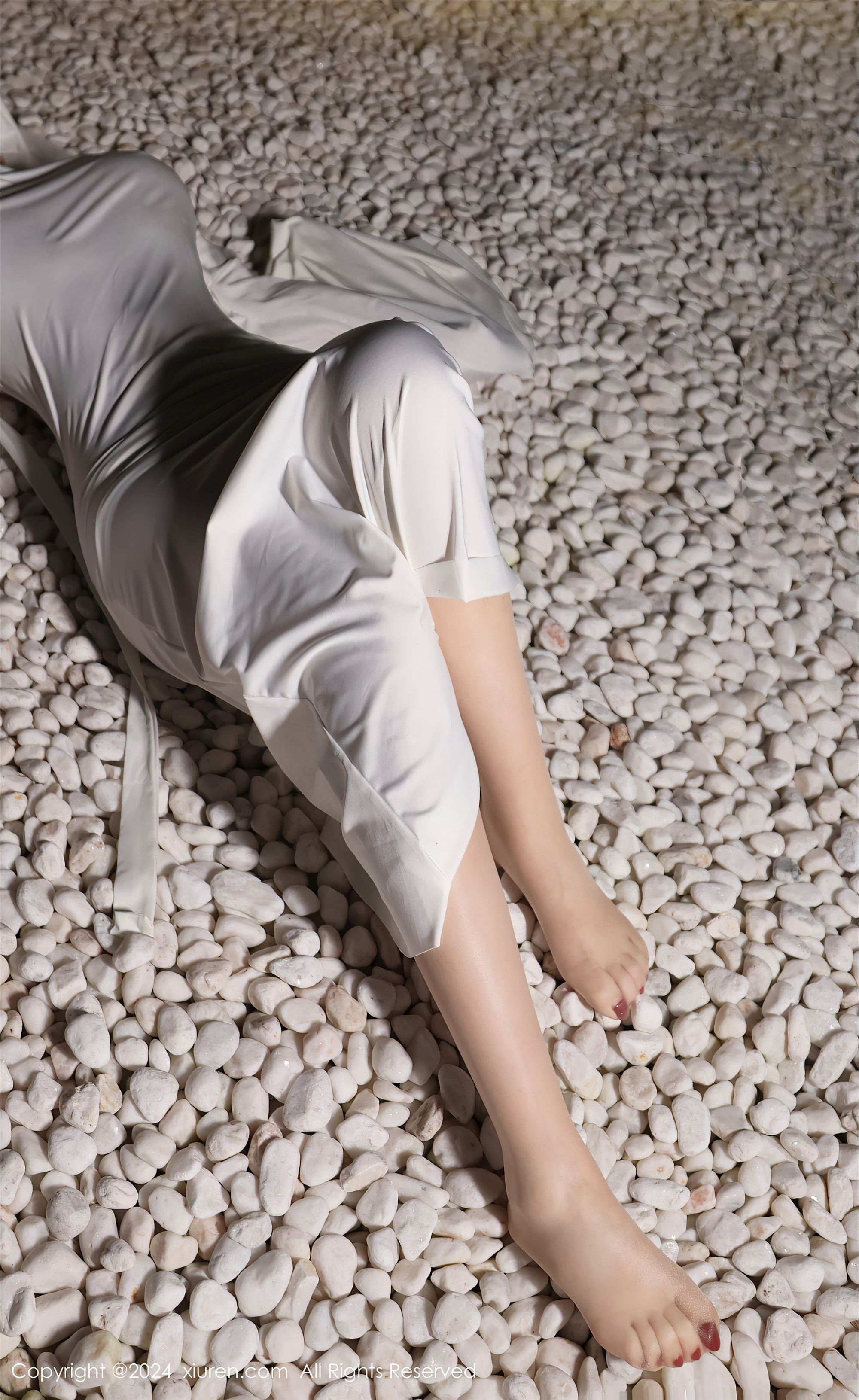 Xiuren秀人网 2024.10.31 NO.9376 小薯条nienie